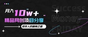 月入十万+的网创项目分享，成年人的最快翻身之道-网创电课网