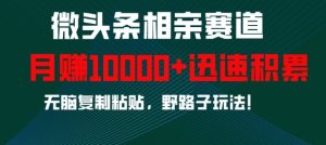 微头条相亲赛道，迅速积累，无脑复制粘贴，野路子玩法，月入1w-网创电课网