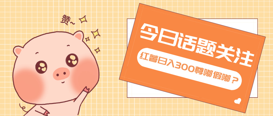 全新红薯浏览，打破常规 双端操作，每天运行6小时，让你获得工作以外的…-网创电课网