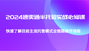 2024速卖通半托管从0到1实战必修课，帮助你快速了解目前主流托管模式全链路操作流程-网创电课网