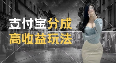 支付宝分成计划新玩法,利用交通事故视频,赚收益,轻松月入过W,操作简单-网创电课网