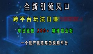 全新引流风口,跨平台玩法日入上k,单日狂揽200+精准创业粉,一个被严重忽略的视频平台-网创电课网