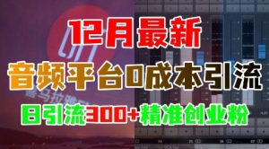 12月最新：音频平台0成本引流，日引流300+精准创业粉-网创电课网