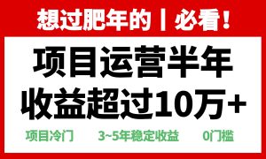 年前过肥年的必看的超冷门项目，半年收益超过10万+，-网创电课网