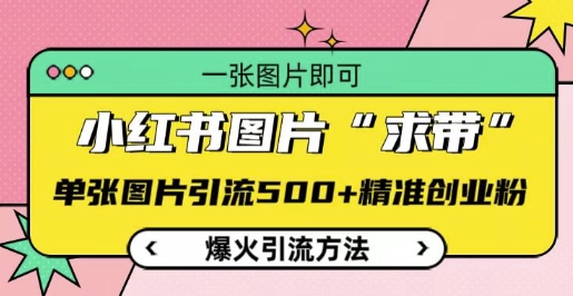 小红书图片‘求带’爆火引流法,单张图片引流500+精准创业粉-网创电课网