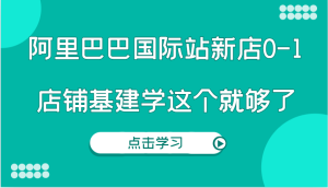 阿里巴巴国际站新店0-1，个人实践实操录制从0-1基建，店铺基建学这个就够了-网创电课网
