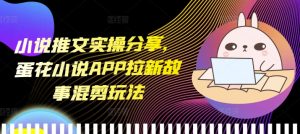 小说推文实操分享，蛋花小说APP拉新故事混剪玩法-网创电课网