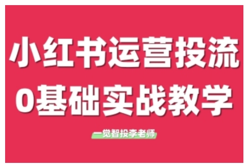 小红书运营投流,小红书广告投放从0到1的实战课,学完即可开始投放-网创电课网