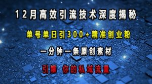 最新高效引流技术深度揭秘 ，单号单日引300+精准创业粉，一分钟一条原创素材，引爆你的私域流量-网创电课网