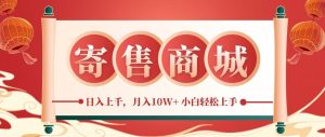 一部手机，一天几分钟，小白轻松日入上千，月入10万+，纯信息项目-网创电课网