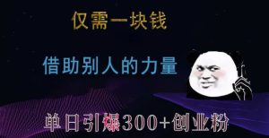 仅需一块钱,借助别人的力量,单日引爆300+创业粉、兼职粉-网创电课网