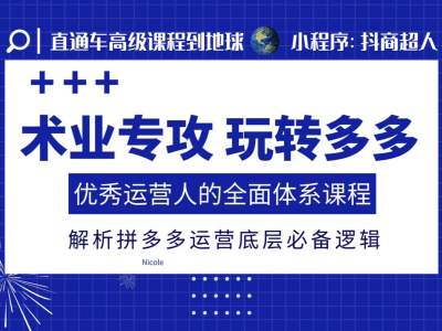 术业专攻玩转多多，优秀运营人的全面体系课程，解析拼多多运营底层必备逻辑-网创电课网