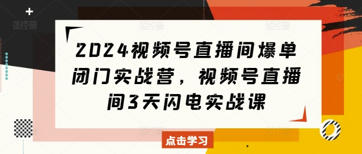 2024视频号直播间爆单闭门实战营,视频号直播间3天闪电实战课-网创电课网