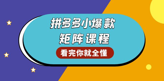 拼多多爆款矩阵课程：教你测出店铺爆款，优化销量，提升GMV，打造爆款群-网创电课网