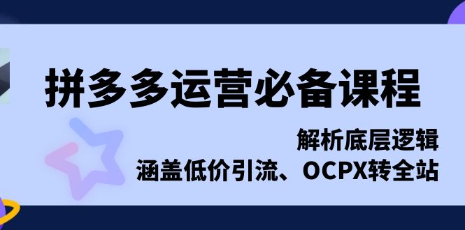 拼多多运营必备课程，解析底层逻辑，涵盖低价引流、OCPX转全站-网创电课网