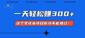 零成本入门！简单几步开启一天300+的赚钱之路！-网创电课网