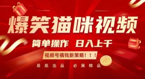 爆笑猫咪视频：简单操作，日入过K，视频号搞钱新策略-网创电课网