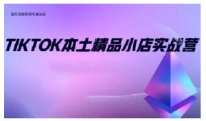 TikTok本土精品小店出海实战营，从入门到高阶，不止0-1!-网创电课网