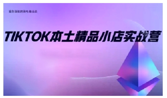 TikTok本土精品小店出海实战营，从入门到高阶，不止0-1!-网创电课网