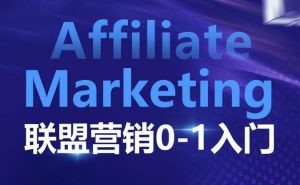 ​​​​​​Affiliate Marketing联盟营销0-1入门，联盟营销基本逻辑 联盟平台逻辑及联盟客逻辑全面详解-网创电课网