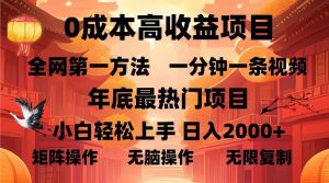 0成本高收益蓝海项目，一分钟一条视频，年底最热项目，小白轻松日入…-网创电课网
