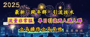 最新“跨年群”引流，流量非常猛，单日引流两人满人群，立马操作立马见效-网创电课网