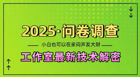 2025问卷调查最新工作室技术解密：一个人在家也可以闷声发大财，小白一天2张，可矩阵放大-网创电课网