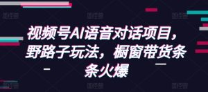 视频号AI语音对话项目，野路子玩法，橱窗带货条条火爆-网创电课网
