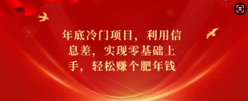 年底冷门项目，利用信息差，实现零基础上手，轻松赚个肥年钱-网创电课网