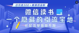 微信读书，一个隐藏的引流宝地，不为人知的小众打法，日引流300+精准创业粉，长尾流量源源不断-网创电课网
