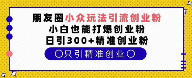 朋友圈小众玩法引流创业粉，小白也能打爆创业粉，日引300+精准创业粉-网创电课网