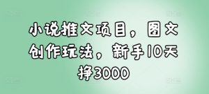 小说推文项目，图文创作玩法，新手10天挣3000-网创电课网