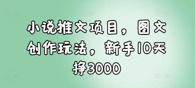 小说推文项目，图文创作玩法，新手10天挣3000-网创电课网