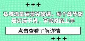 私域流量运营实操课，每个章节都是实操干货，学完就能上手-网创电课网