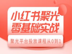 小红书聚光零基础实战,聚光平台投放课程从0到1-网创电课网