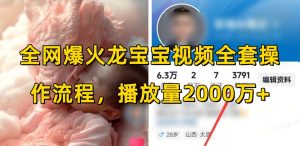 全网爆火龙宝宝视频全套操作流程，播放量2000万+-网创电课网