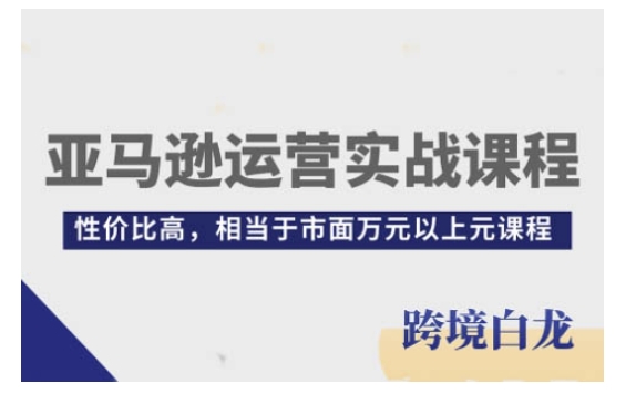 亚马逊运营实战课程，亚马逊从入门到精通，性价比高，相当于市面万元以上元课程-网创电课网