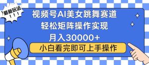 视频号蓝海赛道玩法，当天起号，拉爆流量收益，小白也能轻松月入30000+-网创电课网