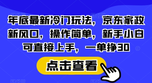 年底最新冷门玩法，京东家政新风口，操作简单，新手小白可直接上手，一单挣30-网创电课网