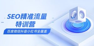SEO精准流量特训营，百度微信抖音小红书全覆盖，带你搞懂搜索优化核心技巧-网创电课网