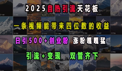 2025自热引流天花板，一条视频能带来四位数的收益，引流+变现双管齐下，日引500+创业粉，涨粉嘎嘎猛-网创电课网