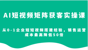 AI短视频矩阵获客实操课,从0-1企业短短视频搭建经验,销售运营成本最高降低50倍-网创电课网
