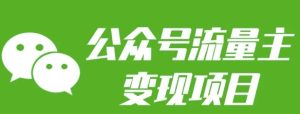 公众号流量主变现项目：每天2小时，普通人每月多挣三五千-网创电课网