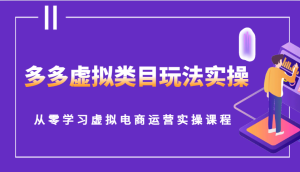 多多虚拟类目玩法实操，从零学习虚拟电商运营实操课程-网创电课网