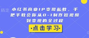 小红书商业IP变现私教，手把手教会你从0-1制作短视频到变现的全过程-网创电课网