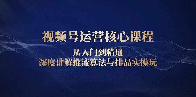视频号运营核心课程，从入门到精通，深度讲解推流算法与排品实操玩-网创电课网