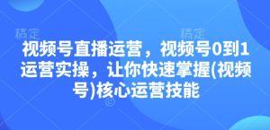 视频号直播运营，视频号0到1运营实操，让你快速掌握(视频号)核心运营技能-网创电课网