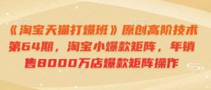 《淘宝天猫打爆班》原创高阶技术第64期，淘宝小爆款矩阵，年销售8000万店爆款矩阵操作-网创电课网