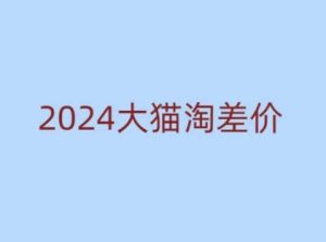 2024版大猫淘差价课程，新手也能学的无货源电商课程-网创电课网