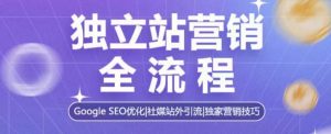 独立站营销全流程,Google SEO优化,社媒站外引流,独家营销技巧-网创电课网